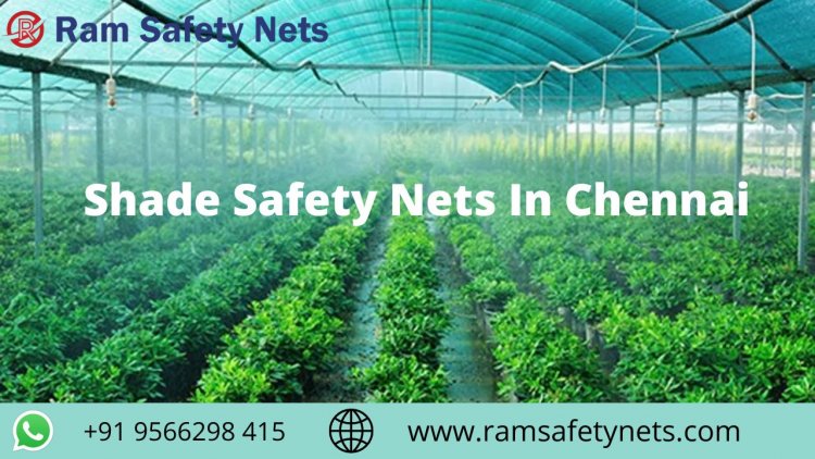 Safety Nets Chennai