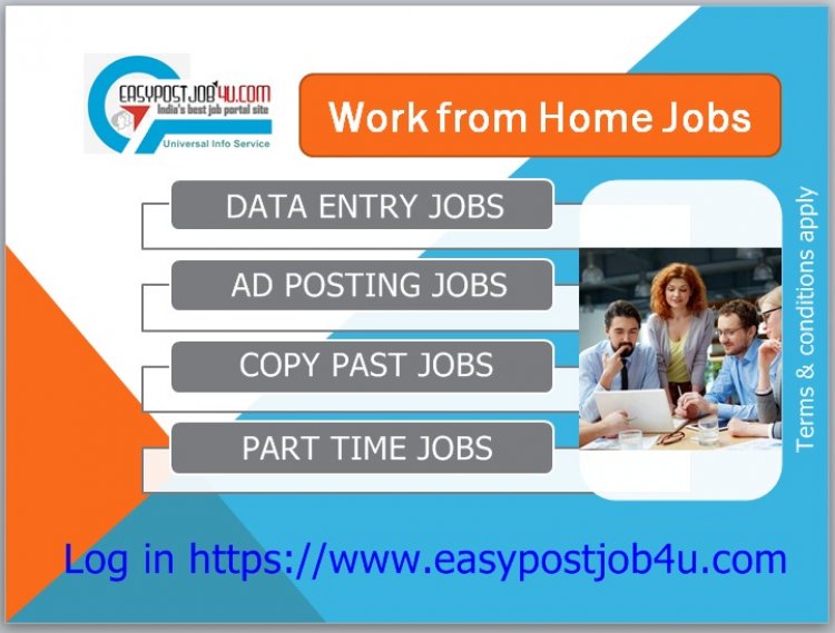 Online Opportunity From Home