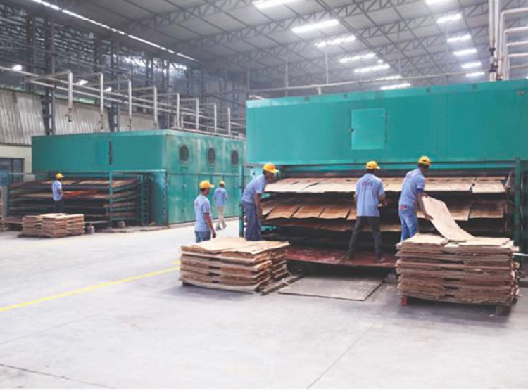 Chequered Plywood Manufacturers