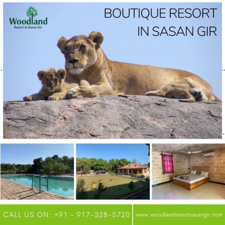 Best Resorts in Sasan Gir - Woodland Resort Sasan Gir