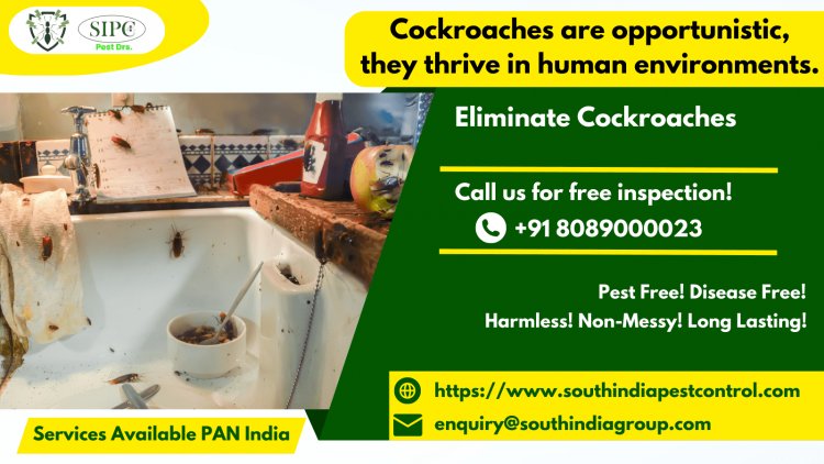 Cockroach Control Services in Goa