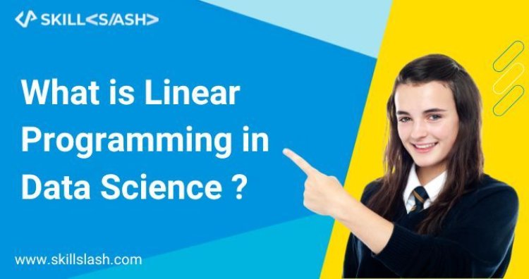 What is Linear Programming in Data Science ?