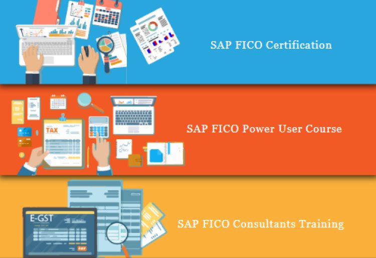 Online SAP Finance Certification in Laxmi Nagar, Delhi, SLA GST Institute, BAT Training Classes,