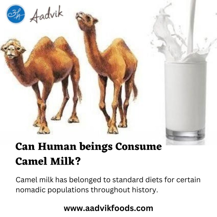 Can Human beings Consume Camel Milk?