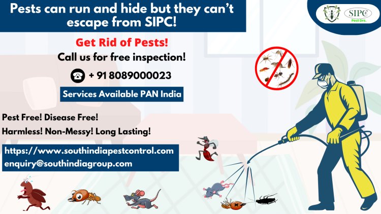 Pest Control Services in Goa