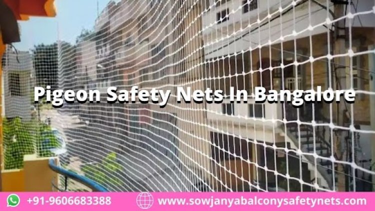 Pigeon Safety Nets  Bangalore