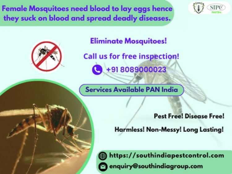 Mosquito Control Goa