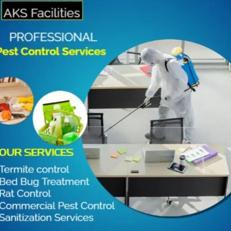 Best Pest Control Services In Delhi