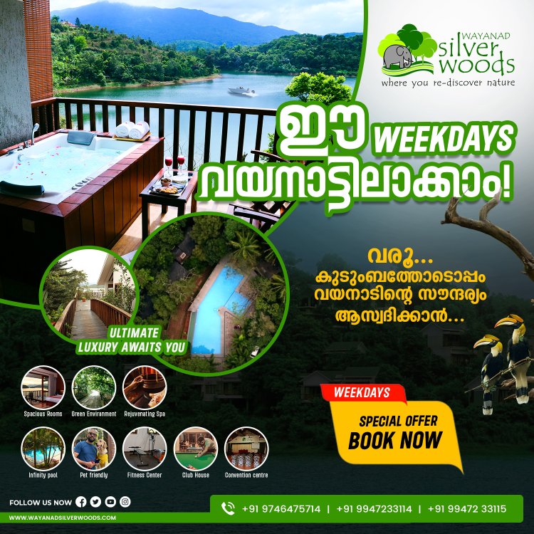 Experience the Wonders of Wayanad with a Memorable Stay at Silverwoods Resort