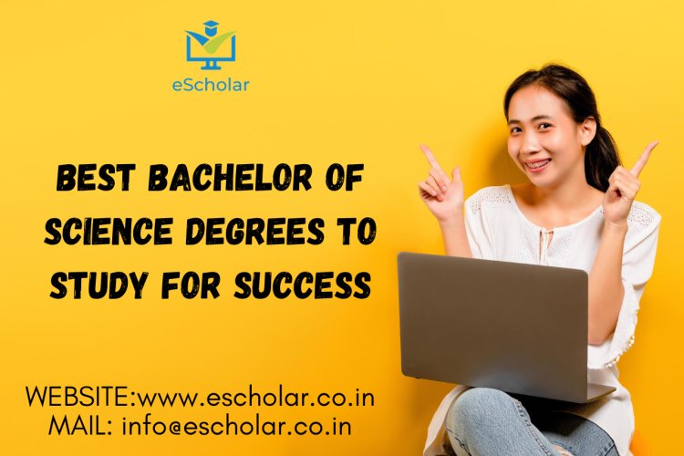 10. Best Bachelor of Science Degrees to Study for Success