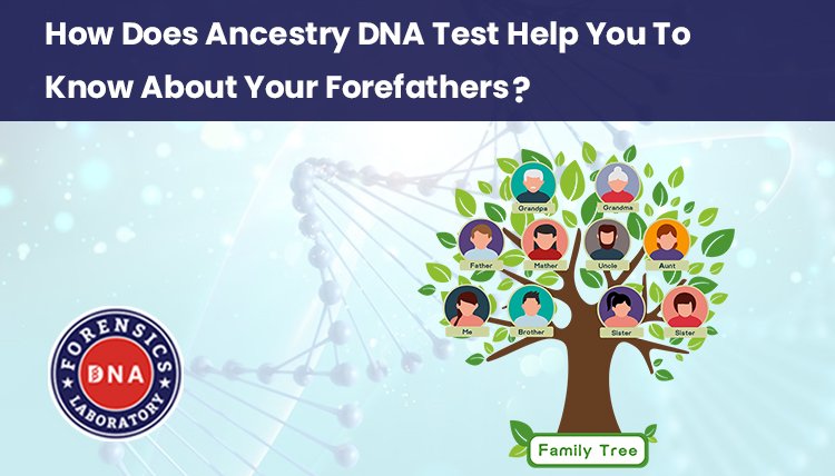 How Does Ancestry DNA Test Help You To Know About Your Forefathers?