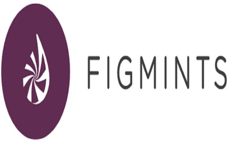 Figmints Digital Creative