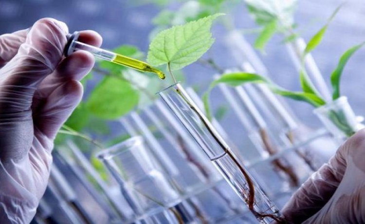 Green and Bio-Based Solvents Market By Size, Share, Demand, Price, Growth, Forecast 2028