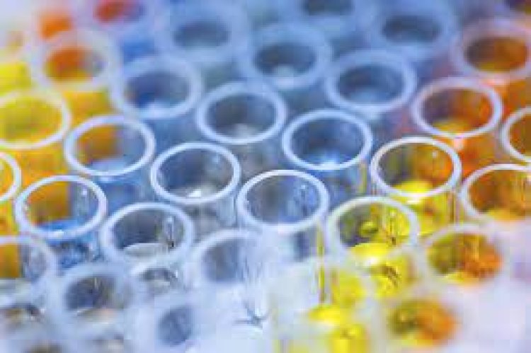 India Immunoassay Market Forecast 2026: Projected Growth and Opportunities | TechSci Research