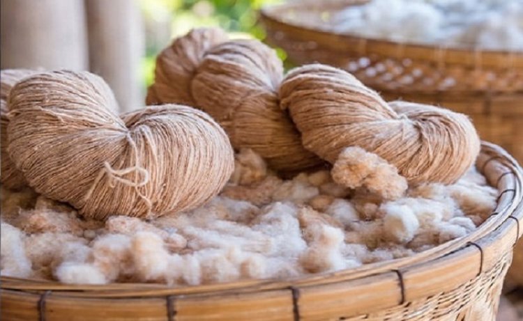 Eco Fiber Market By Size, Share, Trends, Demand, Manufactures, Forecast 2028