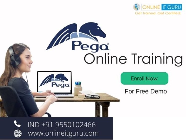 What are the main uses of pega software?