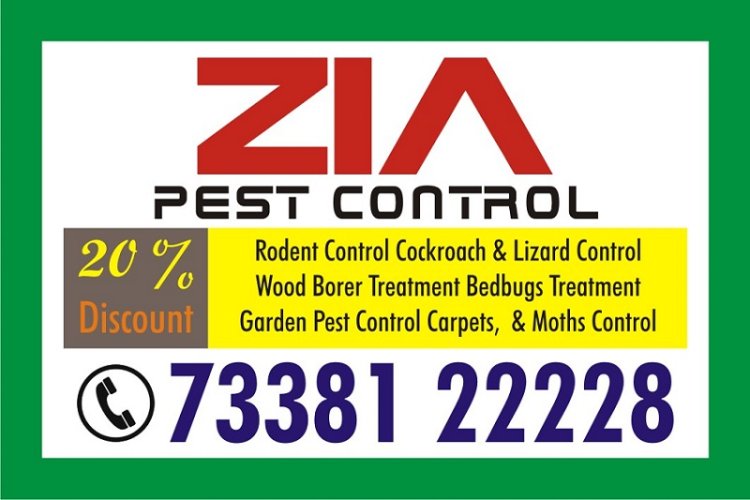 Zia Pest Control | Cockroach and bed bug service 3 months warranty | 1283