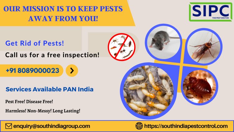 Best Pest Control Services in Goa