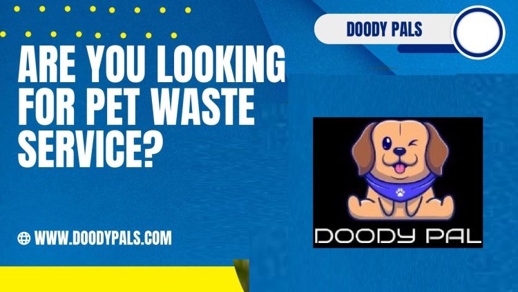 Dog Poop Scooper Service
