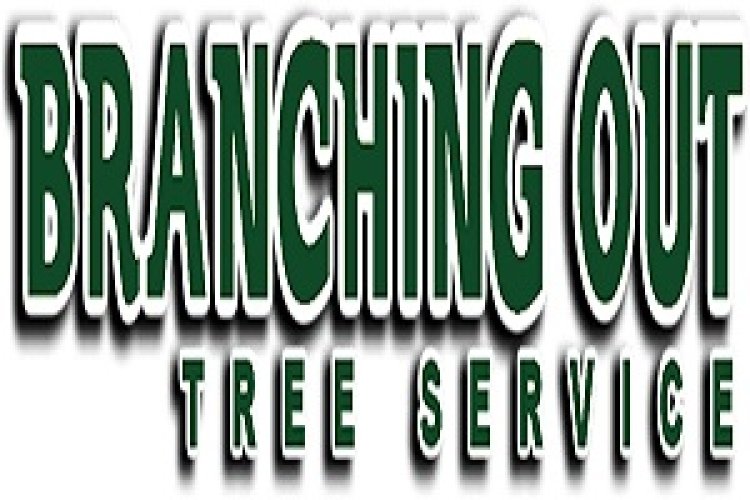 Branching Out Tree Service