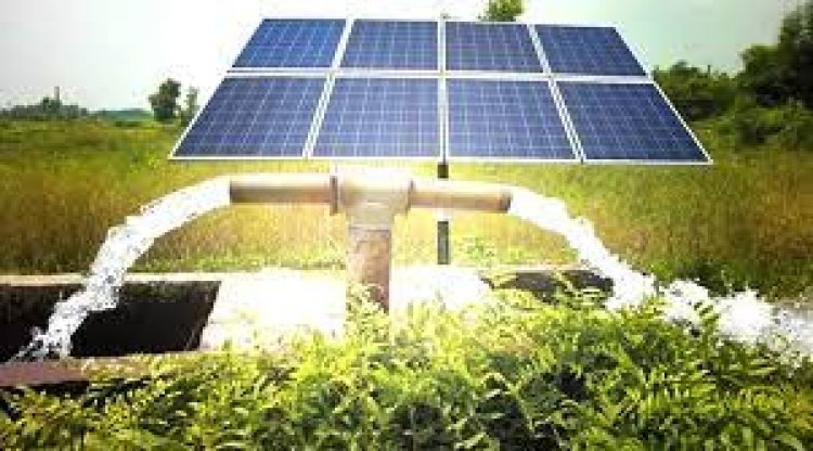 2018-2028 India Solar Water Pump Market Size Detailed Report with Downstream Market Analysis | Research by Absolute Reports