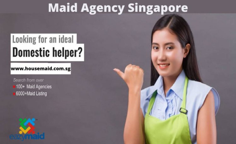 Domestic Helper Agency