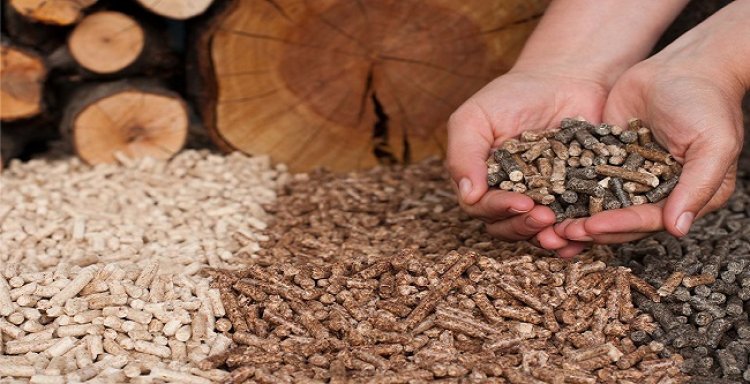 Biomass Briquettes Market Propelled By Rising Need to Replace Old Water Infrastructure
