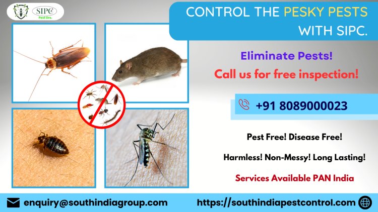 Pest Control in Bangalore