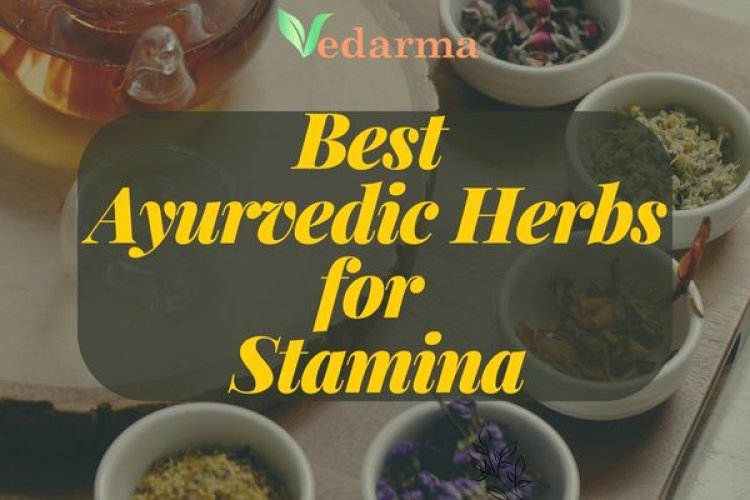 Best Ayurvedic Herbs for Stamina