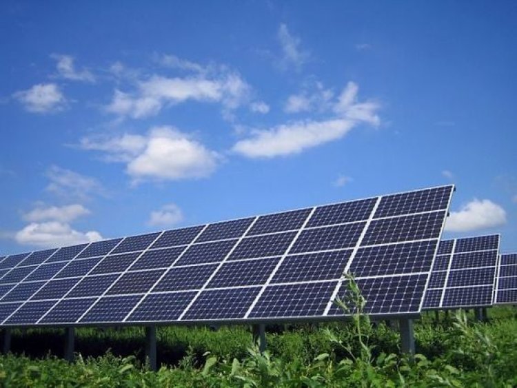 Best Solar Panel Distributor Company in India