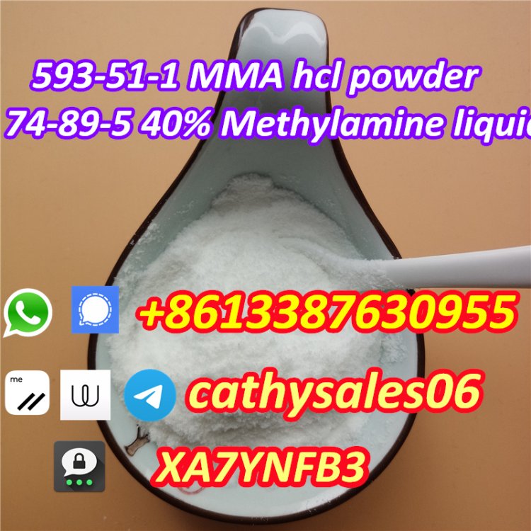 nice quality Methylamine solution 40 % 74-89-5 and Methylamine hydrochloride 593-51-1