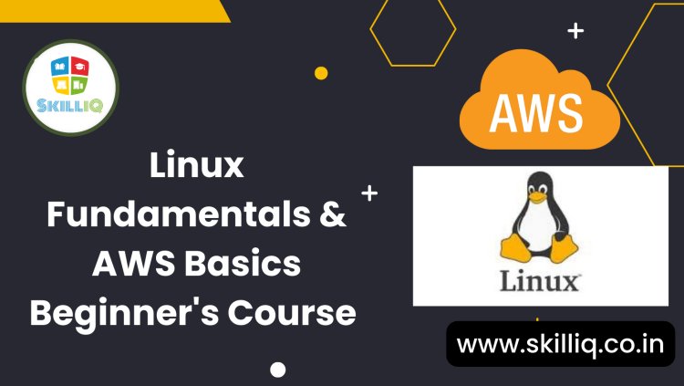 Linux and AWS For Beginners Courses 2023