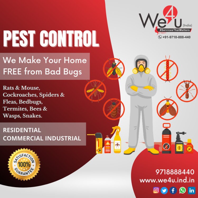 Professional Pest Control Services in India