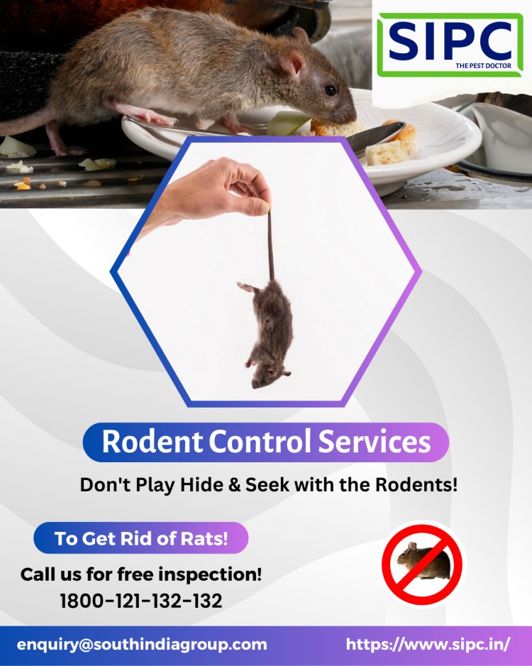 Rat Control in Goa