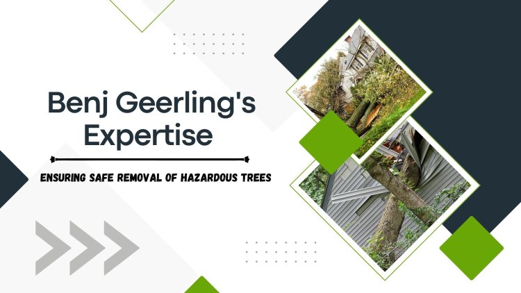 Benj Geerling's Expertise - Ensuring Safe Removal of Hazardous Trees