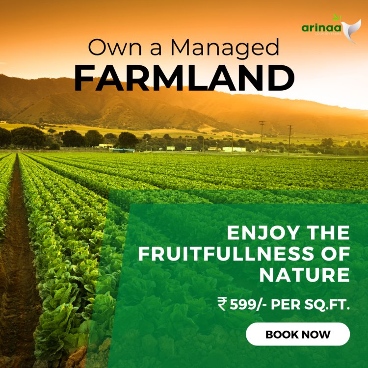 Managed Farmland for sale