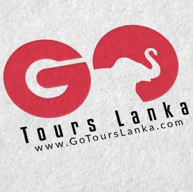 See the sights, taste the flavors, and experience the culture of Sri Lanka with Go Tours Lanka