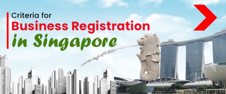 Criteria for Business Registration in Singapore