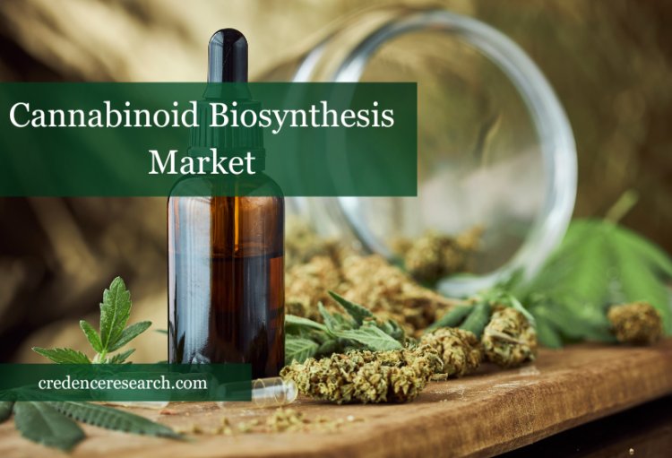 Cannabinoid Biosynthesis Market Rising Trends and Research Outlook 2022-2030