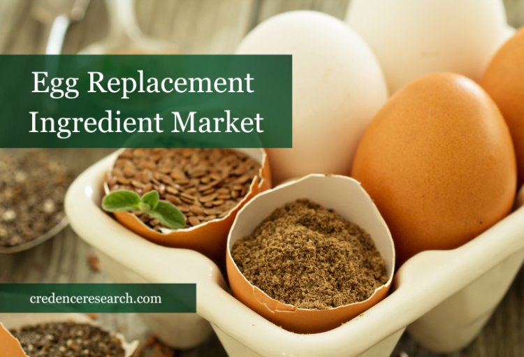 Egg Replacement Ingredient Market- Future Growth Prospects for the Global Leaders