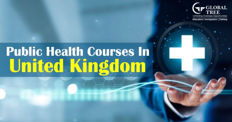 All about Studying Public Health courses in the UK