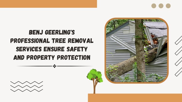 Benj Geerling's Professional Tree Removal Services Ensure Safety and Property Protection