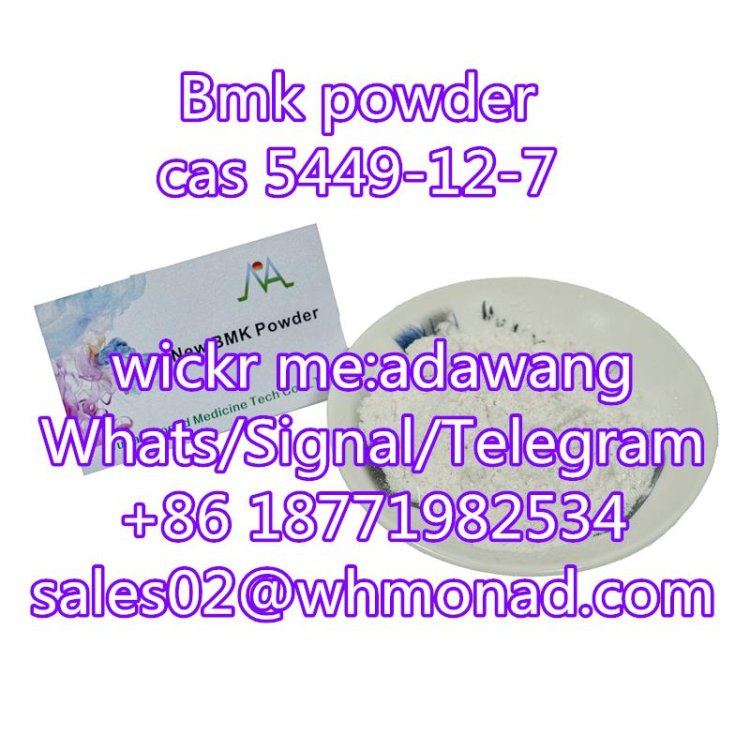 bmk powder cas 5449-12-7 to netherland safety line good price