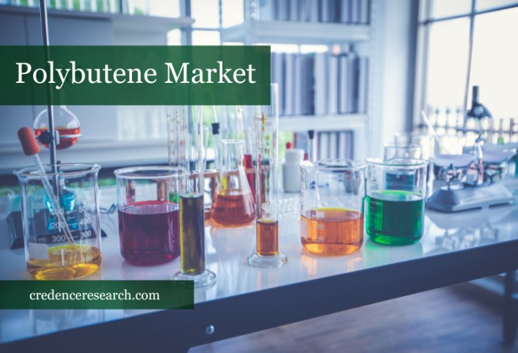 Polybutene Market 2022 | Growth Strategies, Opportunity, Challenges, Rising Trends and Revenue Analysis 2030