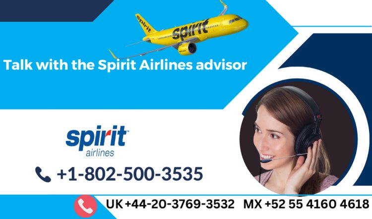 What is the phone number to Talk to a Live Person at Spirit Airlines?