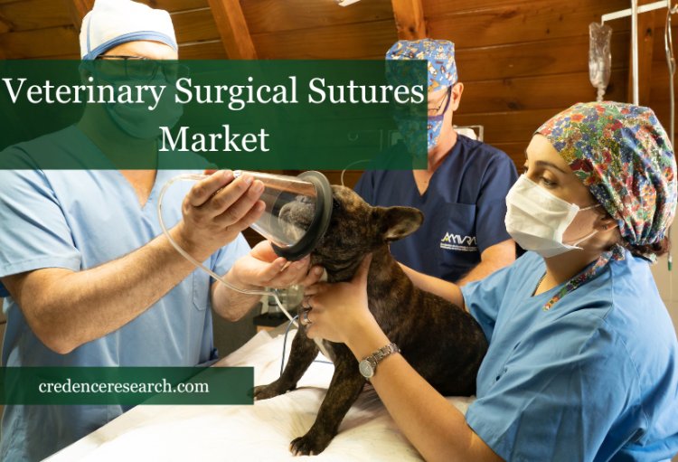Veterinary Surgical Sutures Market Analysis with Size, Revenue, Growth Drivers and Forecast to 2030