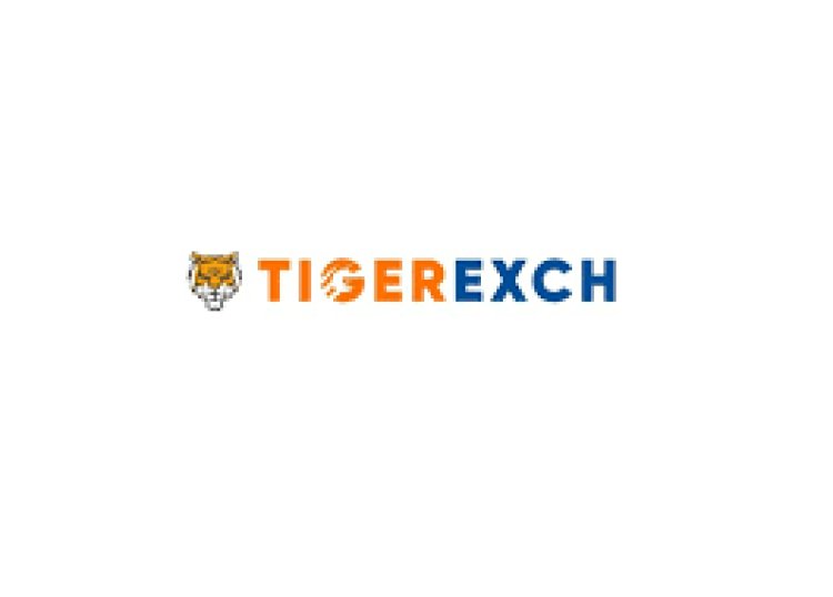 What Is a Tigerexch247 Sign Up Account and How to Create One