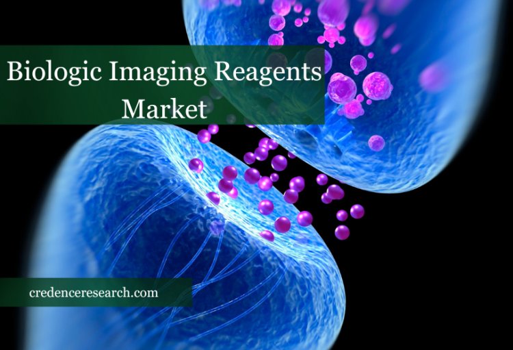 Biologic Imaging Reagents Market Is Expected To Generate A Revenue Of USD 29.59 Billion By 2030