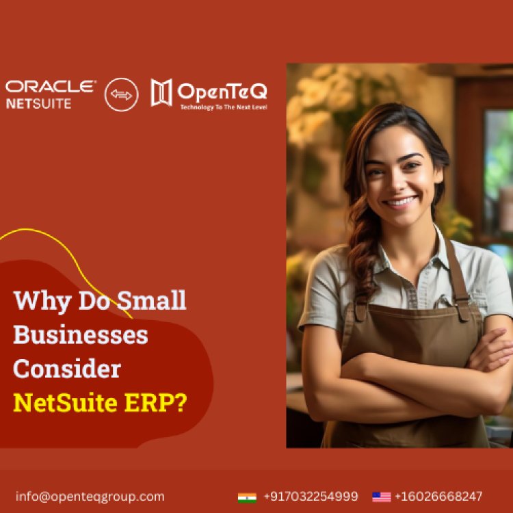 Unlocking Business Potential: NetSuite Integration Services