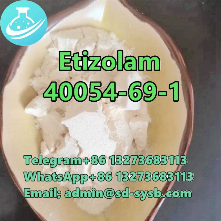 CAS 40054-69-1 Etizolam	High qualiyt  in stock	O1